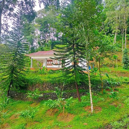Anivilla Holiday Home Kunjithanny Anachal Esterno foto