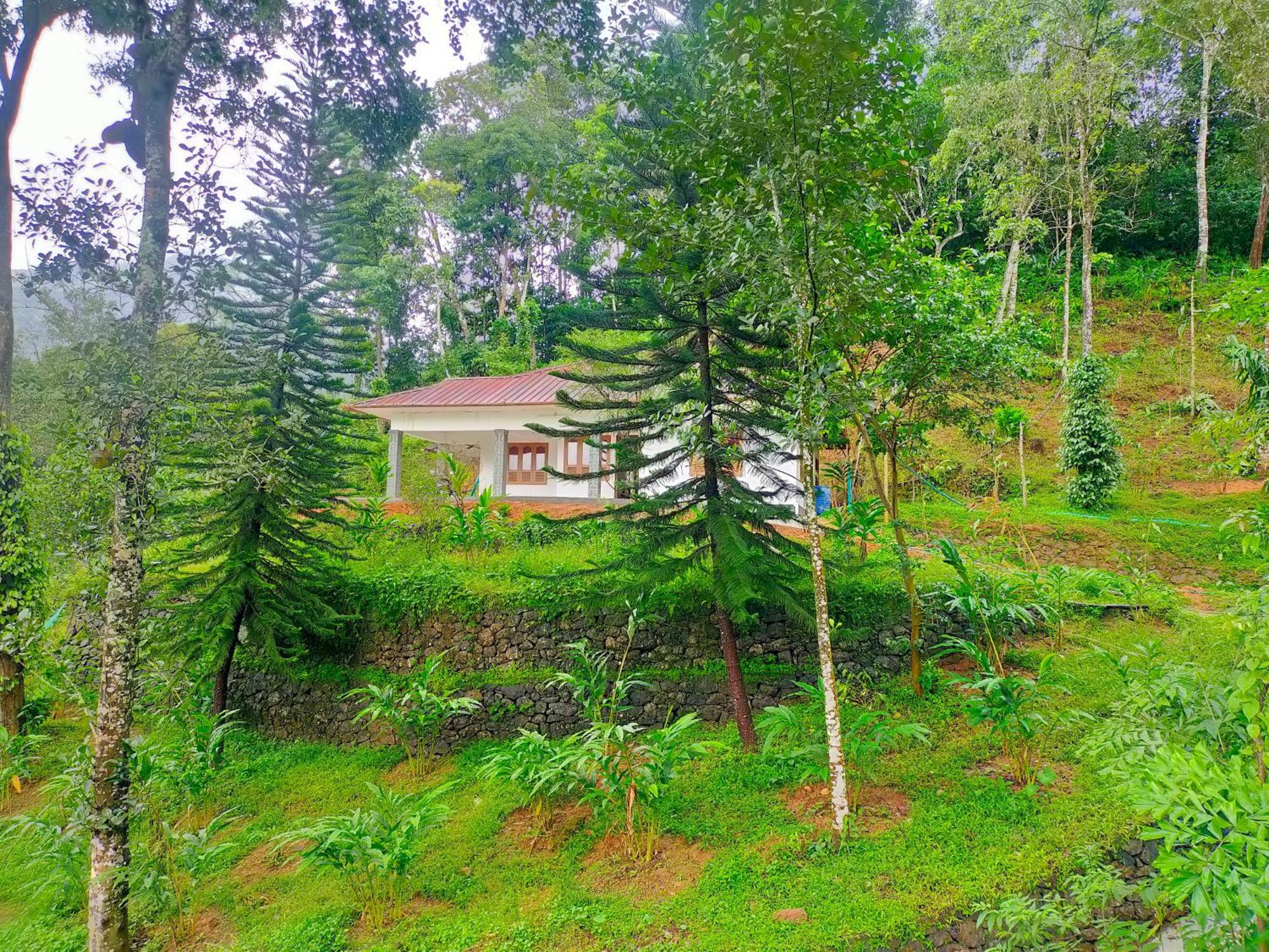 Anivilla Holiday Home Kunjithanny Anachal Esterno foto