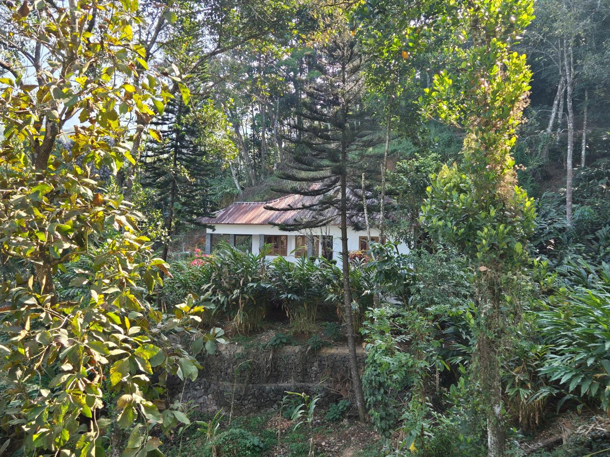 Anivilla Holiday Home Kunjithanny Anachal Esterno foto