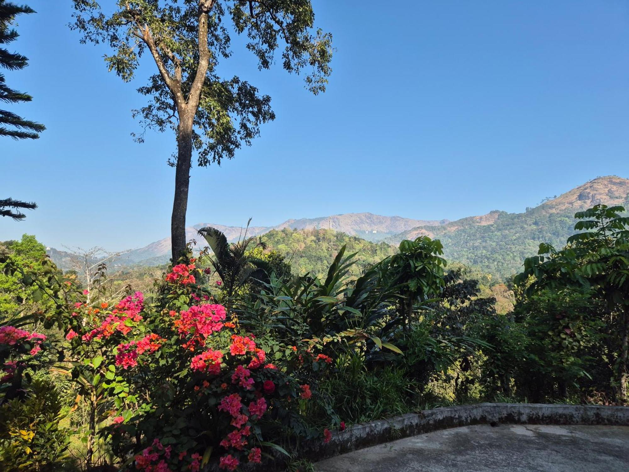 Anivilla Holiday Home Kunjithanny Anachal Esterno foto